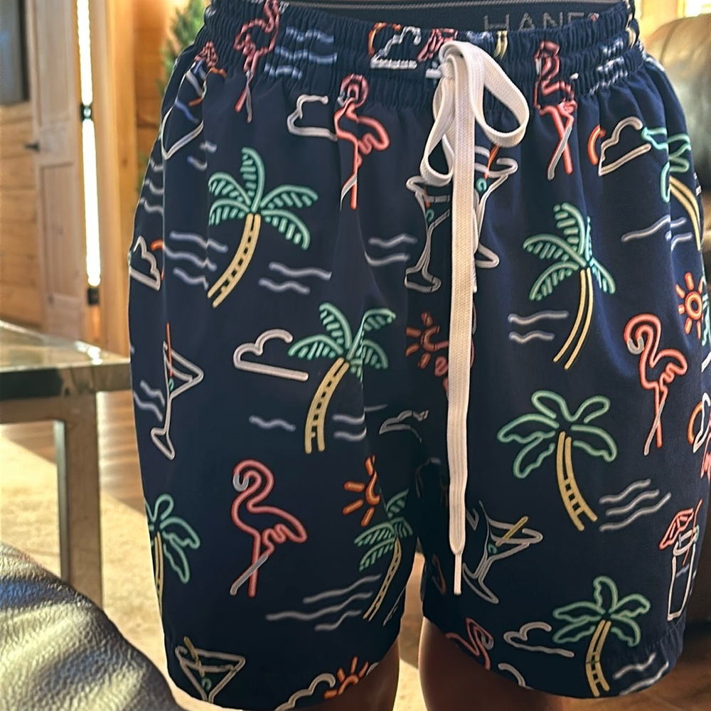 Chubbies Swim Trunks